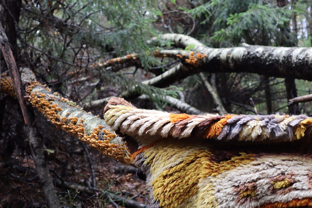 KannuksenpyÃ¶rÃ¤ â HÃ¤mÃ¤lÃ¤inen ryijy