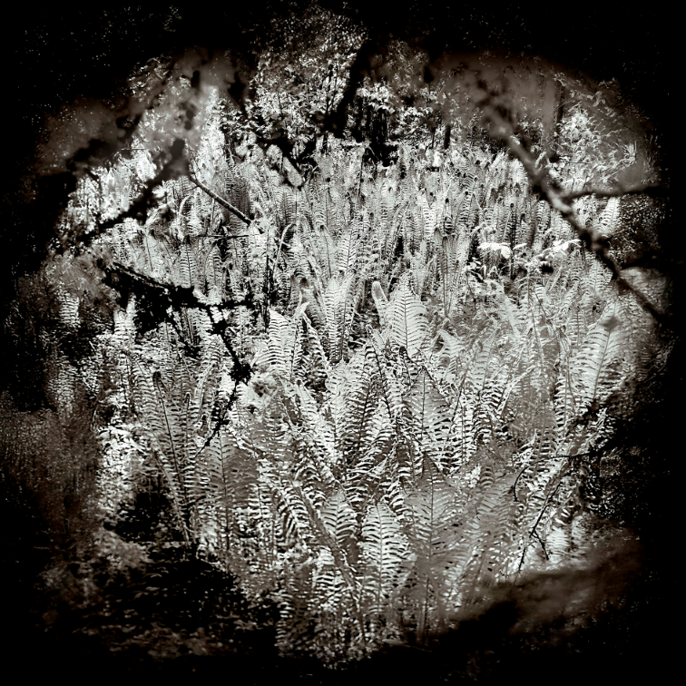 Kirjailijan kierros nÃ¤yttelyyn: Anneli Jussila