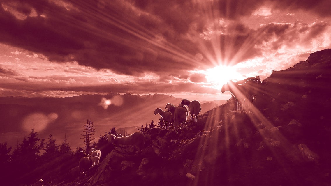 J S Bach-Juloratoriet