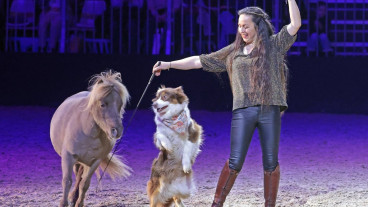 MiMaMo - Die Pferde-Kinder-Pony-Show - SONNTAG