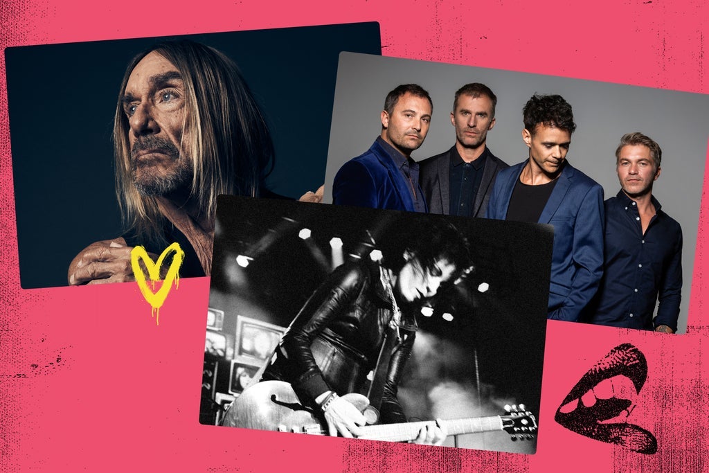 IGGY POP, JOAN JETT & THE BLACKHEARTS, ZED