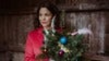 FIDI STEINBECK - WEIHNACHTS-KONZERT image