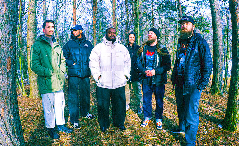 Lähiöbotox, Nyrkkitappelu