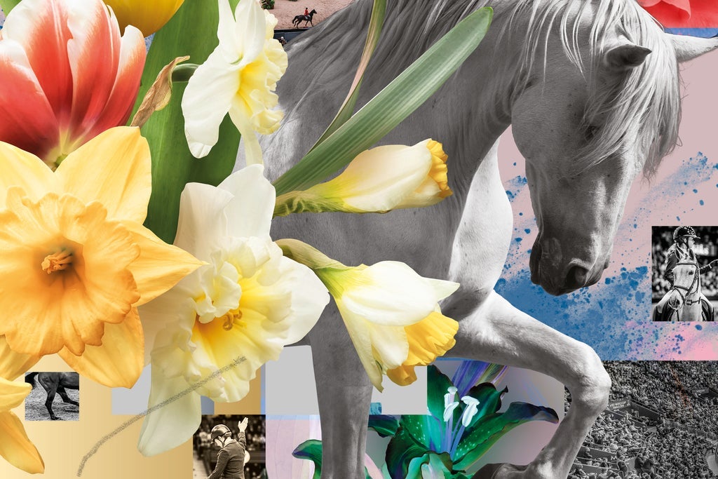 GOTHENBURG HORSE SHOW 2026 SERIEBILJETT ALLA PASS ALLA DAGAR