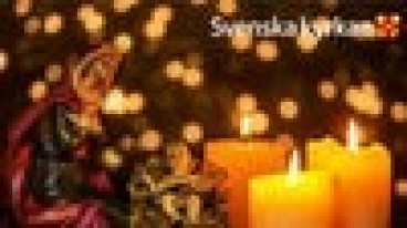 Julens sånger & psalmer