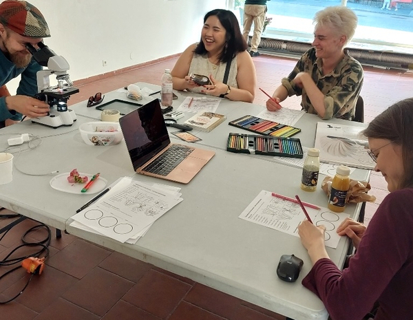 Galleria Moletin nÃ¤yttelyvuosi 2026