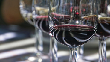 Meilahden Kartanon Taidehalli: Art & Wine-tasting 29.1