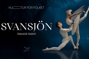 Svansjön med Classical Ukrainian Etoile Ballet