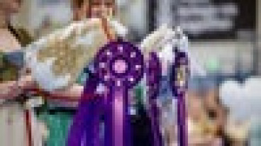 Keppihevosten SM-kilpailut 2026