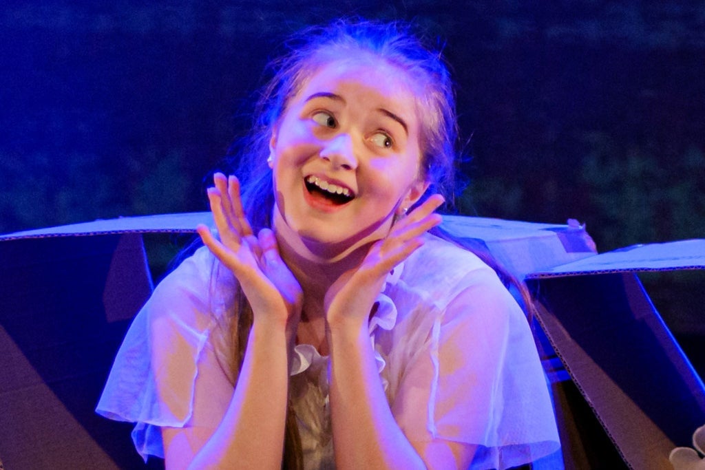 Joulukalenteri, Gradian tanssin joulunäytös