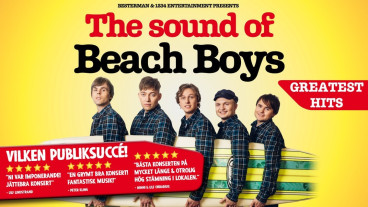 The Sound of Beach Boys image