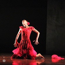 Pro Dance -gaala 2026: Tanssin monet kielet