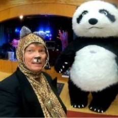 Miska Pressan katti hybridikonsertti