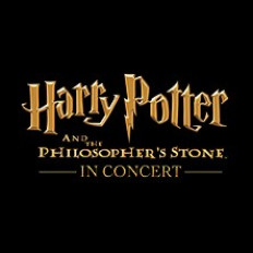 HARRY POTTER JA VIISASTEN KIVI