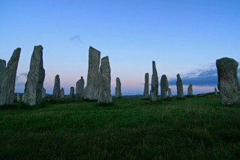 Niklas Paschburg - Restaurant