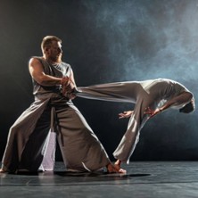 Unleashed - Fragile Kollektiivi