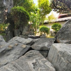 Japanilaisissa puutarhoissa