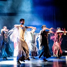 Flamencon ilta: Katja Lundén