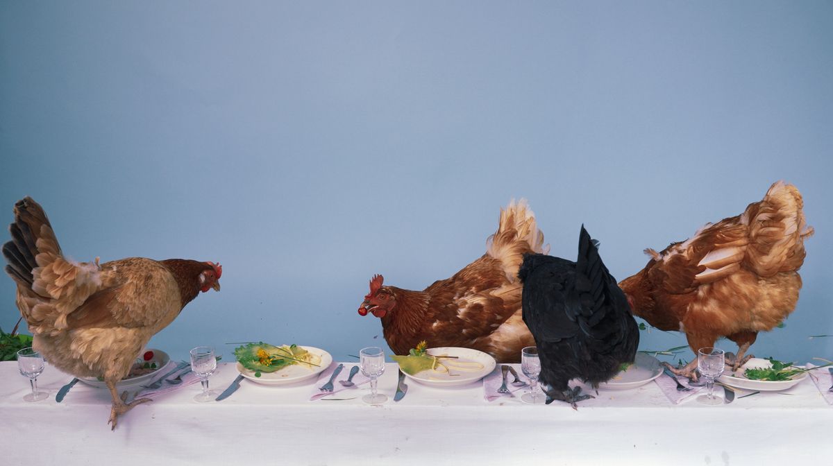 Galleria Sivuraide / Sauli Suomela: Layers / Kerrokset