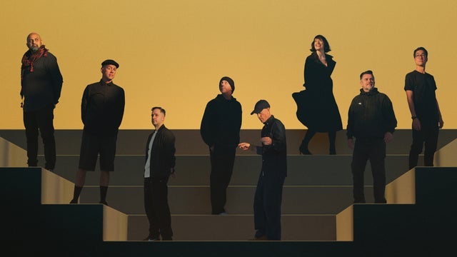 The Herd - 20 Years Of The Sun Never Sets