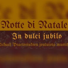 Notte di Natale: In dulci jubilo