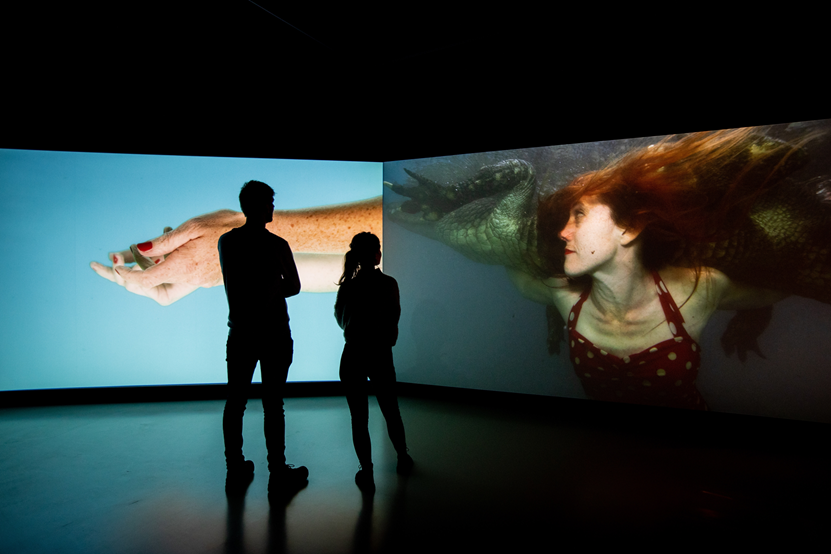 Jessica Segall: Oddkin