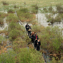 Joensuun kaupunginorkesteri - Sinfonia Plus kausikortti, Kevät 2026