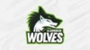 Varsity Basketball: Algonquin Wolves vs. George Brown Huskies