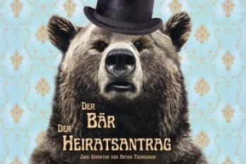 Der Bär & der Heiratsantrag