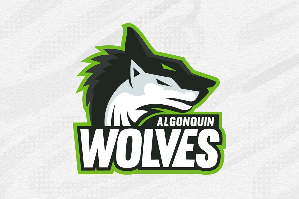 Varsity Volleyball: Algonquin Wolves vs. Durham College Lords