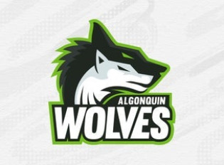 Varsity Volleyball: Algonquin Wolves vs. Seneca Sting