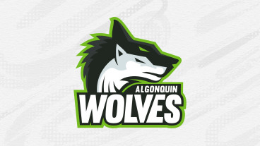 Varsity Volleyball: Algonquin Wolves vs. Georgian Grizzlies
