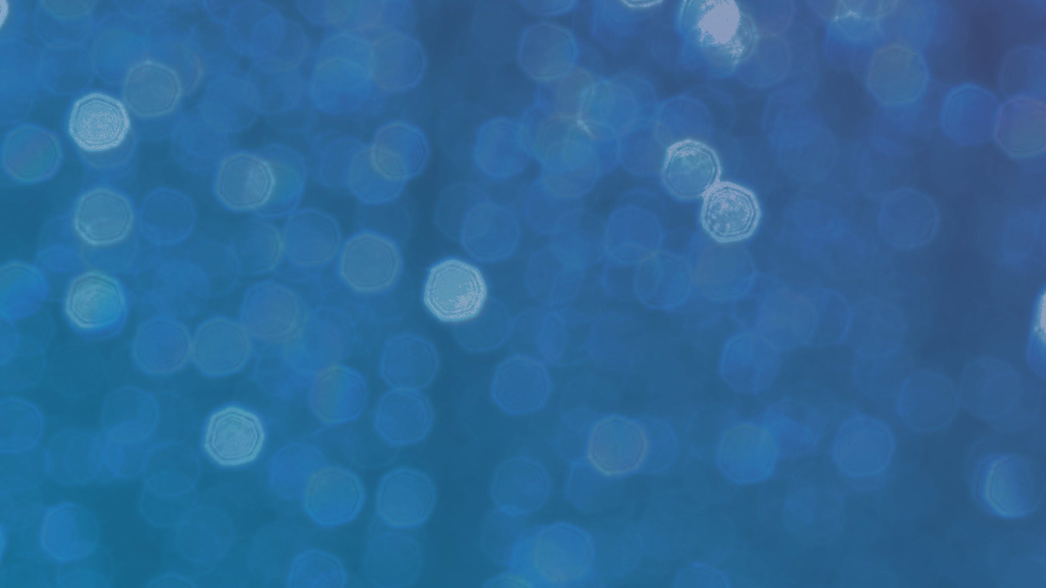 Brentford v Tottenham Hotspur