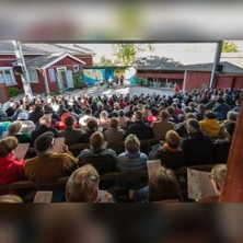 Sipilänmäki, Kaksi puuta