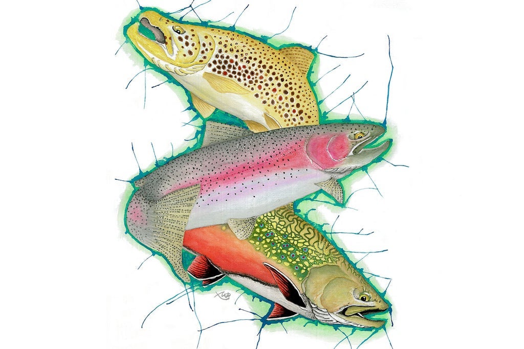 Fly Fishing Film Festival