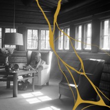 Sinfonia Lahti & Hannu Lintu: Sibelius Turussa