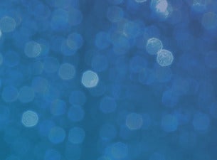 DSCHUNGELBUCH - DAS MUSICAL Das Highlight für die ganze Familie!