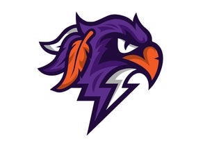 Halifax Thunderbirds vs. Buffalo Bandits