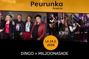 DINGO + MILJOONASADE