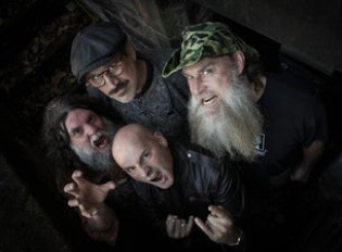Hayseed Dixie image
