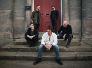 The Chameleons image