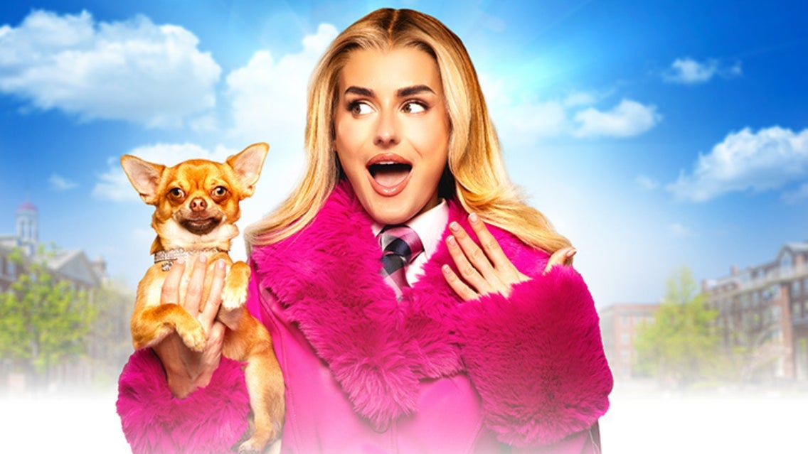 Legally Blonde (Touring)