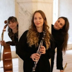 Sibbe Live!: Matka ilmassa