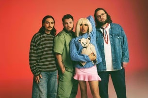 Rainbow Kitten Surprise