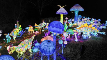 Lichterfestival - Naturwunder | 08.11.25 - 01.03.26