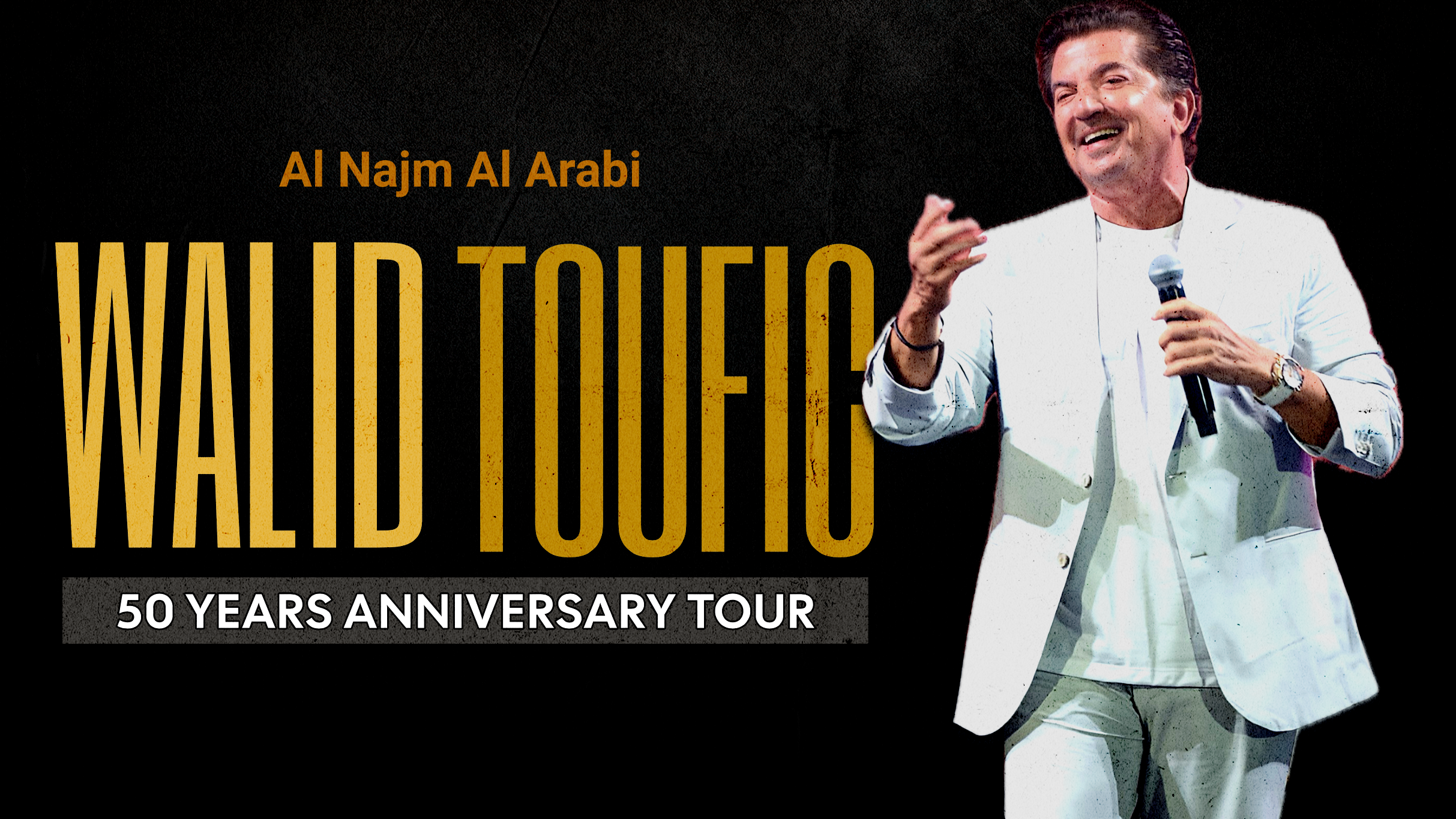 Walid Toufic in Concert