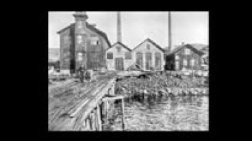 LOKALHISTORISKT FÖREDRAG: Sillguano på Älgö