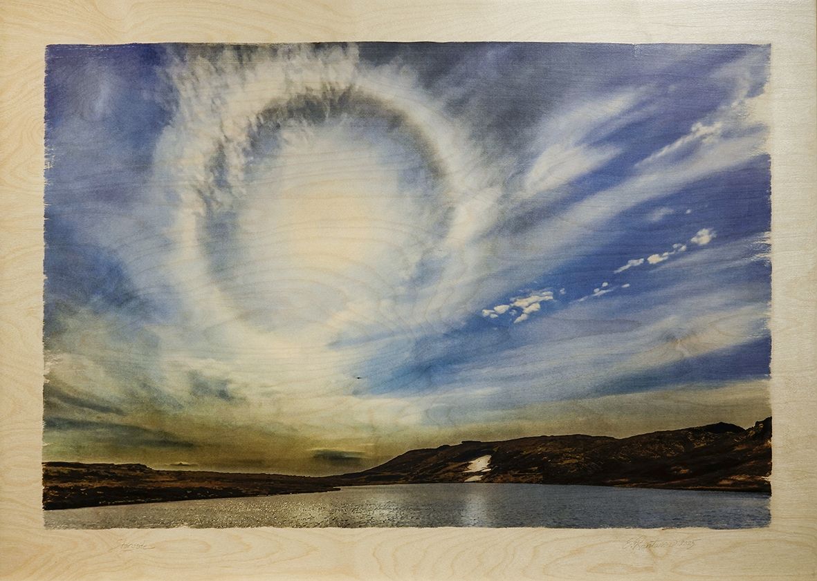 Esko Rantanen: Kuvia koivupuulla