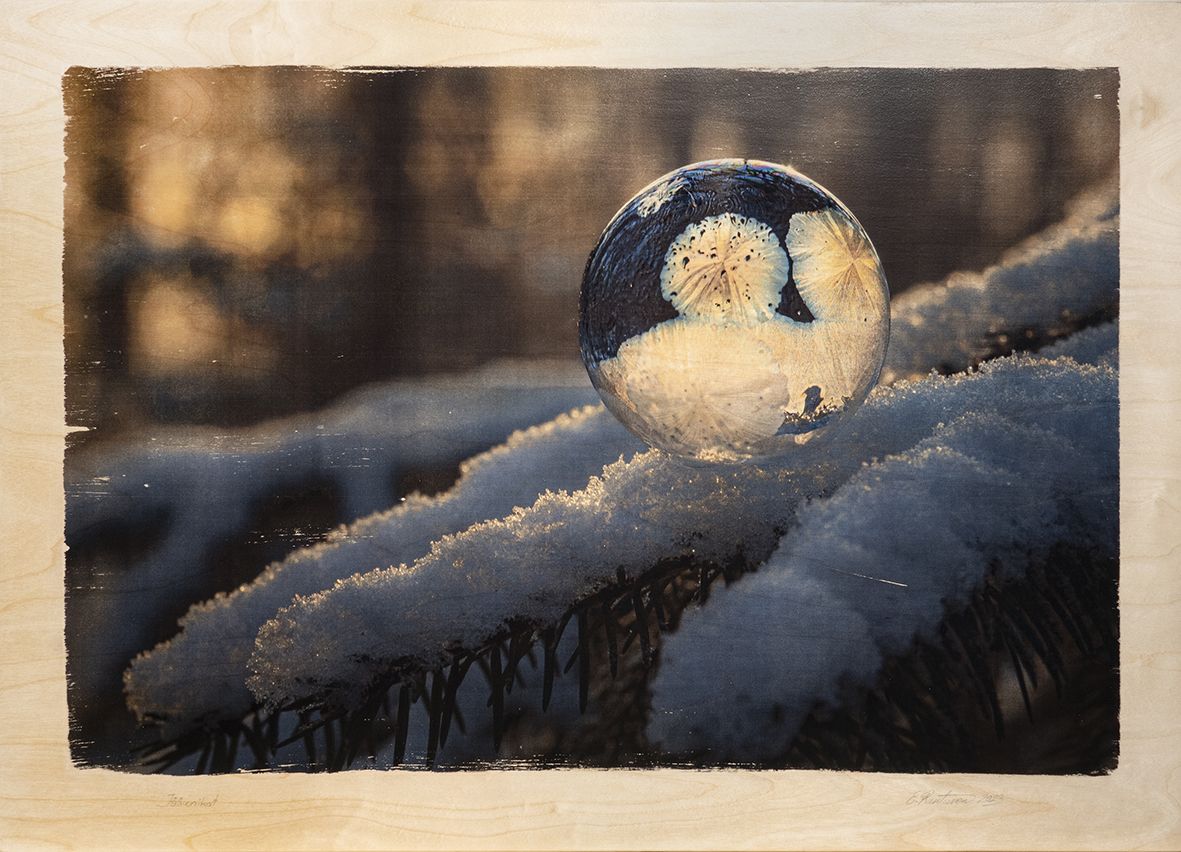 Esko Rantanen: Kuvia koivupuulla