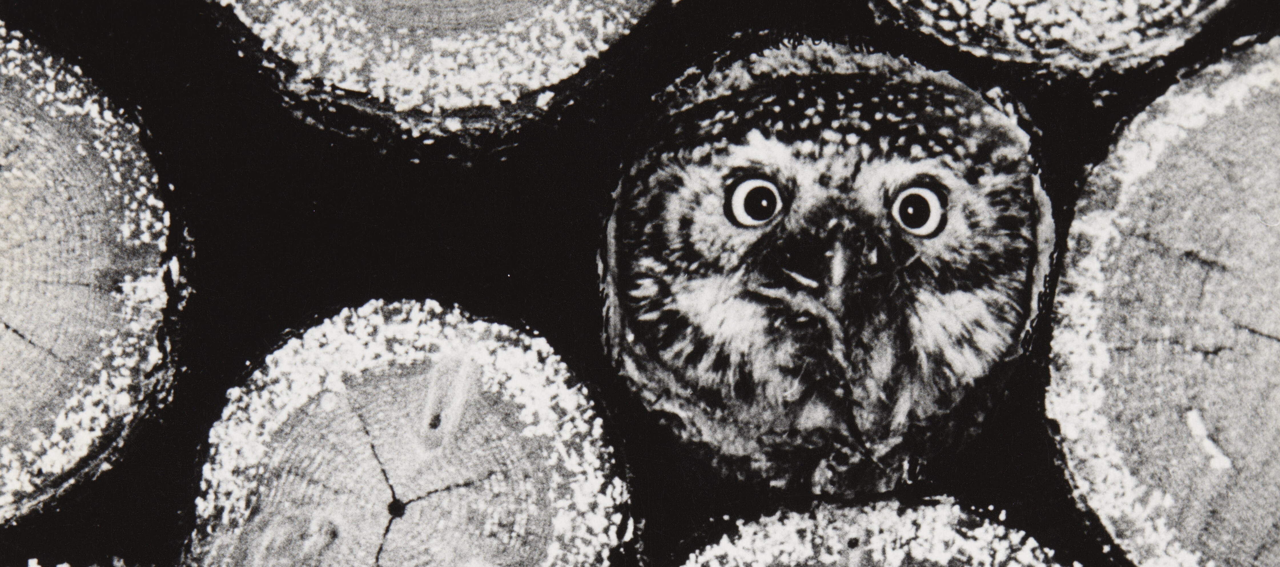 Lastenkulttuurin maaliskuun taidepaja Veturitallilla